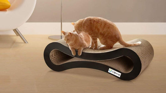 Review of isYoung Cat Scratcher Lounge: The Eco-Friendly Furniture Protector for Your Feline Friend