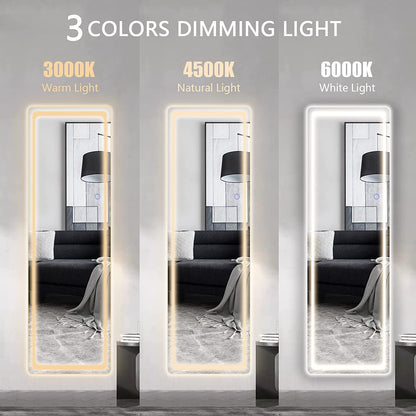 LED Full-Length Floor Mirror 63"x20" - Growing Apex Home, Sweet Home