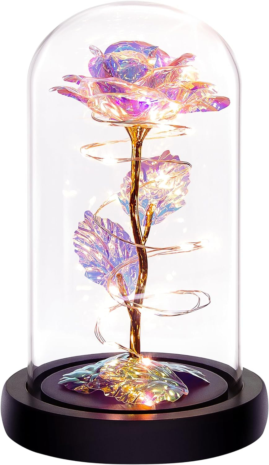 Everlasting Rainbow Rose in Glass Dome - LED Light - Growing Apex Family
